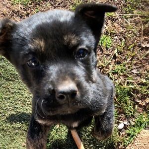 Meet your Posher, Gene